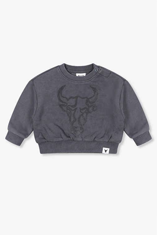 KIDS WASHED BULL SWEATER